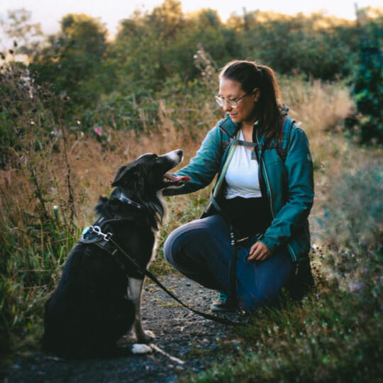 Over Work with the dog Over mij: Hondentrainer in Zwolle (Overijssel) en omstreken, werkt met hulphonden/assistentiehonden op psychosociaal vlak. Onder andere met: PTSS, Autisme, ADHD, angststoornissen.
